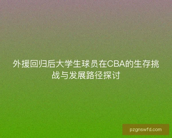 外援回归后大学生球员在CBA的生存挑战与发展路径探讨