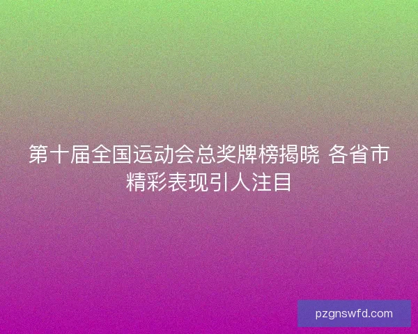 第十届全国运动会总奖牌榜揭晓 各省市精彩表现引人注目