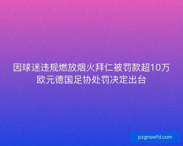 因球迷违规燃放烟火拜仁被罚款超10万欧元德国足协处罚决定出台